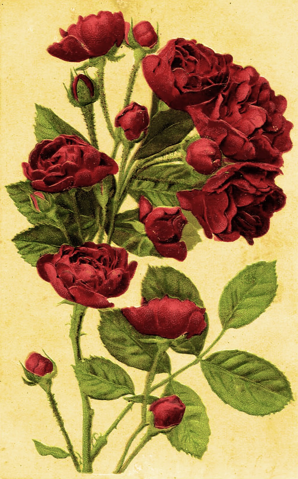 Красные розы для декупажа